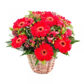 Canastillo Pequeño de 10 Gerberas Rojas