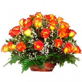 Canastillo Mediano de 24 Rosas Circus