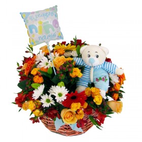 Canastillo Celebración Nacimiento Es un Bebe