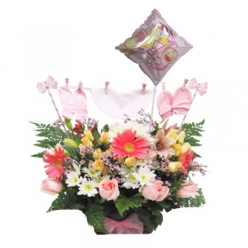 Canastillo Nacimiento Ropita Es Niña