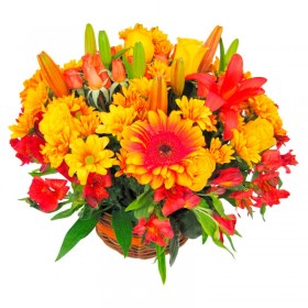 Canastillo Mediano Mix Colorido Verano