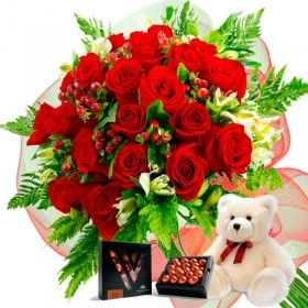 Oferta Ramo 24 Rosas Rojas + Chocolate Gragea Varsovienne y Peluche
