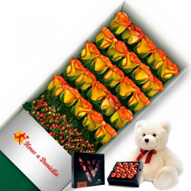 OFERTA CAJA DE 24 ROSAS CIRCUS MAS PELUCHE Y CHOCOLATE GRAGEA