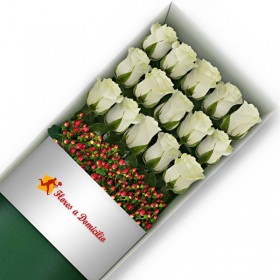 CAJA 15 ROSAS BLANCAS