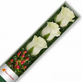 CAJA 3 ROSAS BLANCAS