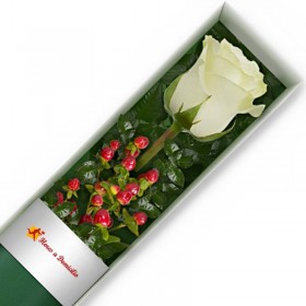 CAJA 1 ROSA BLANCA