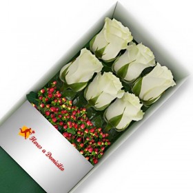 CAJA 6 ROSAS BLANCAS