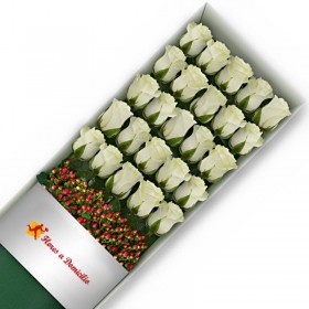 CAJA 24 ROSAS BLANCAS