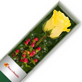 CAJA 1 ROSA AMARILLA
