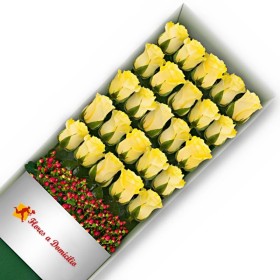 CAJA 24 ROSAS AMARILLAS