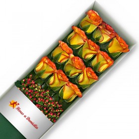 CAJA 12 ROSAS CIRCUS