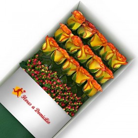 CAJA 15 ROSAS CIRCUS