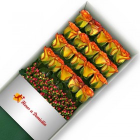 CAJA 20 ROSAS CIRCUS