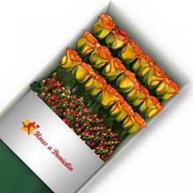 CAJA 18 ROSAS CIRCUS