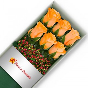 CAJA 6 ROSAS DAMASCO