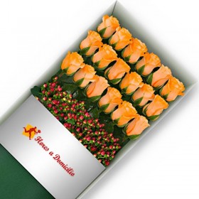 CAJA 18 ROSAS DAMASCO