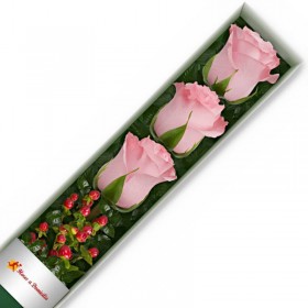 CAJA 3 ROSAS ROSADAS