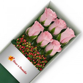 CAJA 6 ROSAS ROSADAS