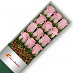 CAJA 12 ROSAS ROSADAS