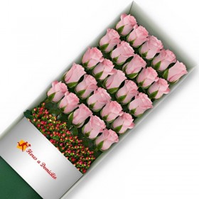 CAJA 25 ROSAS ROSADAS