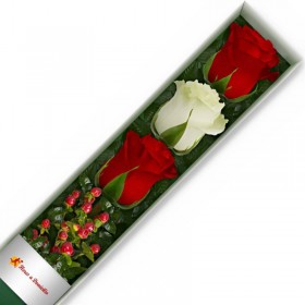 CAJA DE 3 ROSAS BLANCAS Y ROJAS