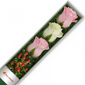 CAJA DE 3 ROSAS ROSADAS Y BLANCA