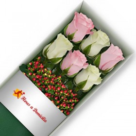 CAJA DE 6 ROSAS ROSADAS Y BLANCAS
