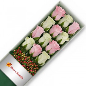 CAJA DE 12 ROSAS ROSADAS Y BLANCAS