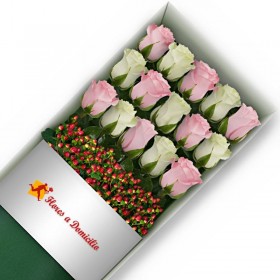 CAJA DE 15 ROSAS ROSADAS Y BLANCAS