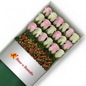 CAJA DE 18 ROSAS ROSADAS Y BLANCAS