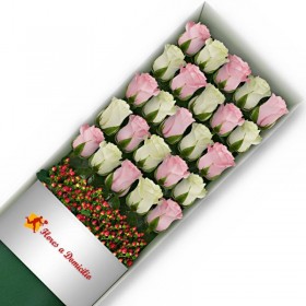 CAJA DE 25 ROSAS ROSADAS Y BLANCAS