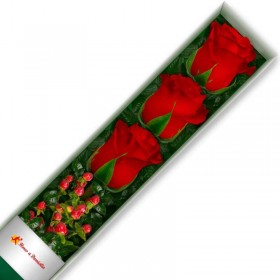 CAJA 3 ROSAS ROJAS