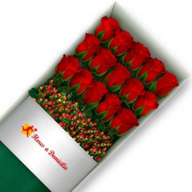CAJA 15 ROSAS ROJAS