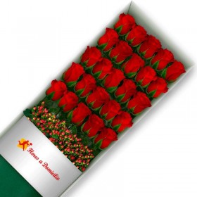 CAJA 25 ROSAS ROJAS