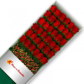 CAJA 36 ROSAS ROJAS