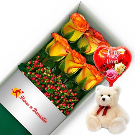 CAJA CON 6 ROSAS CIRCUS + PELUCHE Y GLOBO DÍA DE LA MADRE