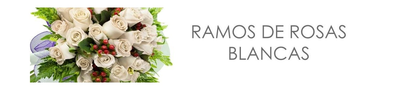 Ramos de Rosas Blancas a Domicilio en Santiago | Flores Frescas
